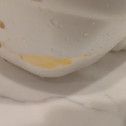 Styrofoam container that melted from quesadilla Styrofoam container that melted from quesadilla