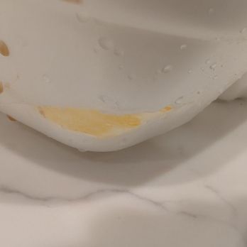 Tacos Al Pastor - Styrofoam container that melted from quesadilla - Tacos Near Me - Brookhaven, Georgia Tacos Al Pastor - Styrofoam container that melted from quesadilla - Tacos Near Me - Brookhaven, Georgia