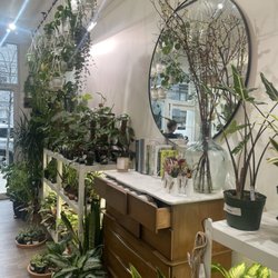 Rudo Plants & Home