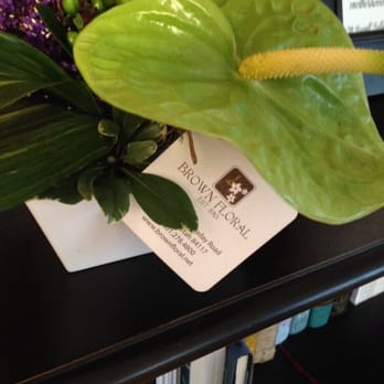 Brown Floral - Love the arrangements from Brown Floral. - Florists Near Me - Holladay, Utah