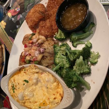 Rainforest Cafe - Taste of the Island. NOT GOOD! Tilapia was dry,, Broccoli wasn't fresh, and the scallops and shrimp were gross, coconut shrimp was decent - American Near Me - Ontario, California