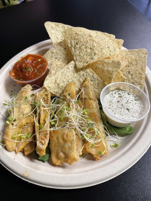 The Reizod Vegan Experience by null
