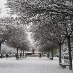 Bürkliplatz in the winter