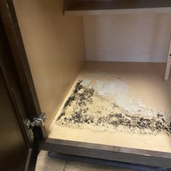 The Cottages at Tucson - Mold in the kitchen