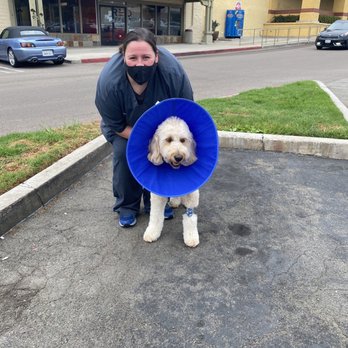 Veterinary Emergency Group - Emergency Pet Hospital Near Me - Encinitas, California Veterinary Emergency Group - Emergency Pet Hospital Near Me - Encinitas, California