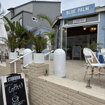 Blue Palm Mission Beach - Outside patio - Coffee & Tea Near Me - San Diego, California Blue Palm Mission Beach - Outside patio - Coffee & Tea Near Me - San Diego, California