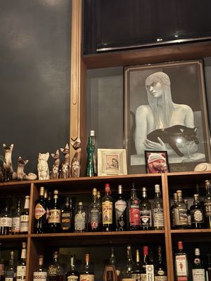 The Cat House by null