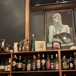 The Cat House