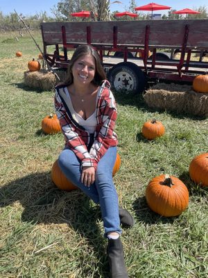 Happy Apple Farm by null