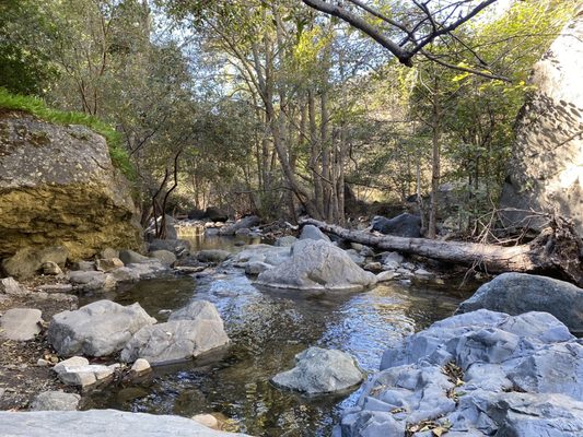 Salmon Creek Falls by null