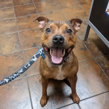 Thetis Heights Veterinary Clinic - Veterinarians Near Me - Victoria, British Columbia Thetis Heights Veterinary Clinic - Veterinarians Near Me - Victoria, British Columbia