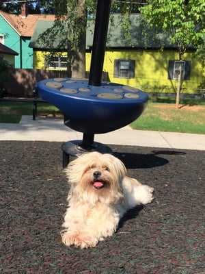 Esther Peachy Lefevre Park by null