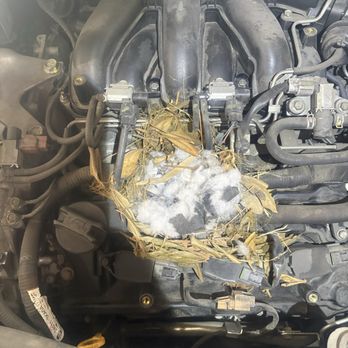 Priority Automotive - Auto Repair Near Me - Lancaster, California Priority Automotive - Auto Repair Near Me - Lancaster, California