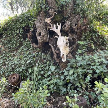 Cold Spring Tavern - Decor - American Near Me - Santa Barbara, California