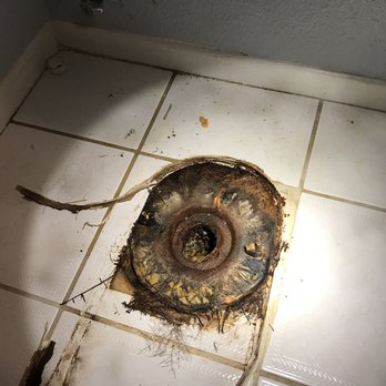 Carroll Plumbing - You can see the tiny roots growing all around the wax ring, showing there is plant life blocking the pipe. - Plumbing Near Me - Escondido, California