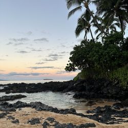 Elite Taxi and Tours - Makena Cove, HI