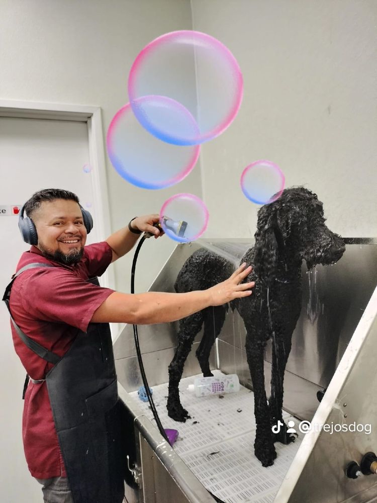 TREJO’S DOG GROOMING 61 Photos & 10 Reviews 6355 N Commerce St, North Las Vegas, Nevada