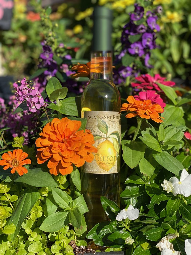 SOMERSET WINE & CIDER BAR Updated August 2024 19 Photos 311 E