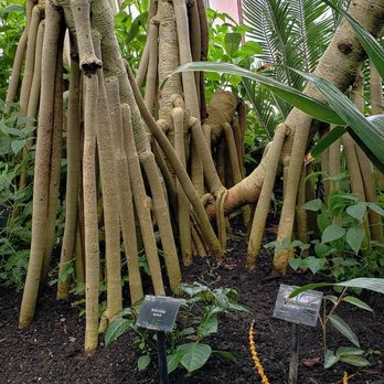 Kew Gardens - Botanical Gardens Near Me