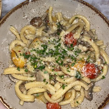 Jay Luigi - Pizza Near Me - Tampa, Florida Jay Luigi - Pizza Near Me - Tampa, Florida