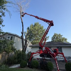 Arch City Tree