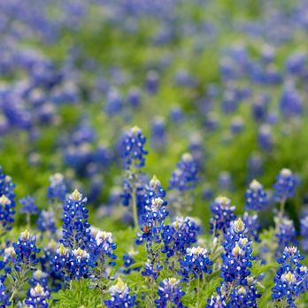 Dave Loerwald - State Farm Insurance Agent - Home & Rental Insurance Near Me - Carrollton, Texas Dave Loerwald - State Farm Insurance Agent - Home & Rental Insurance Near Me - Carrollton, Texas