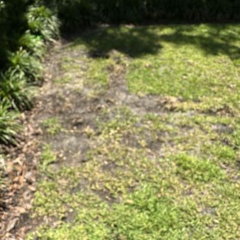 Irrigation King's Landscaping Services - They destroyed my yard - Irrigation Near Me Irrigation King's Landscaping Services - They destroyed my yard - Irrigation Near Me