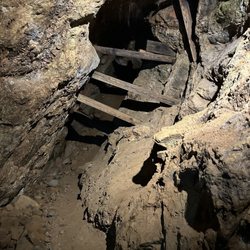 Reed Gold Mine