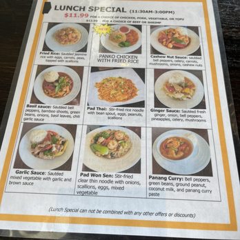 Thesen Asian Noodle Bar - Lunch combo - Noodles Near Me - Naples, Florida Thesen Asian Noodle Bar - Lunch combo - Noodles Near Me - Naples, Florida
