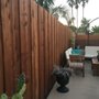Hammerhead Fence