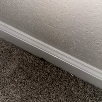 Greystone Woods - Dead roach in bedroom - Apartments Near Me - Cabot, Arkansas Greystone Woods - Dead roach in bedroom - Apartments Near Me - Cabot, Arkansas