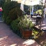 Photo of Raquette Cafe