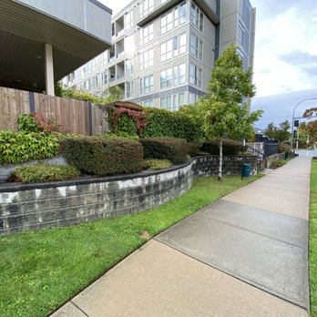 Para Space Landscaping - a view of a residential area - Landscaping Near Me - Burnaby, British Columbia Para Space Landscaping - a view of a residential area - Landscaping Near Me - Burnaby, British Columbia