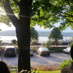 Photo of China Rose - Rhinecliff, NY, United States