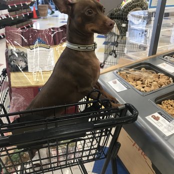 Petco - Treat bar - Pet Stores Near Me - Union City, California