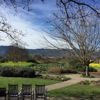 Frog's Leap Winery - Wineries Near Me - Rutherford, California Frog's Leap Winery - Wineries Near Me - Rutherford, California