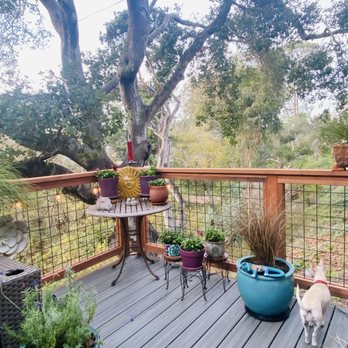 Precision Built Construction - Happy pup! - General Contractors Near Me Precision Built Construction - Happy pup! - General Contractors Near Me