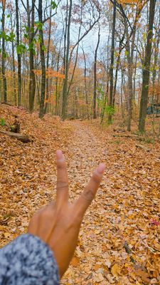 Cranberry Lake Preserve by null