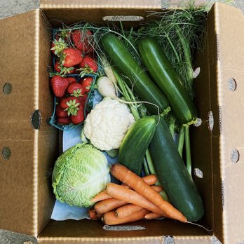 Tomatero Organic Farm - A wonderful farm box! - Fruits & Veggies Near Me Tomatero Organic Farm - A wonderful farm box! - Fruits & Veggies Near Me