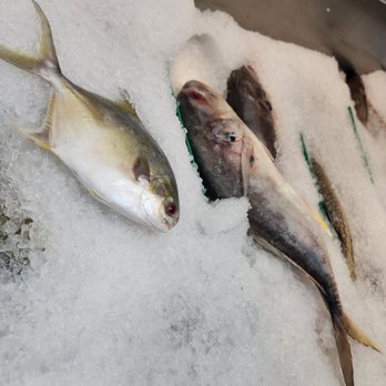 UTICA FISH MARKET - Updated February 2026 - 35 Photos - 246 Utica