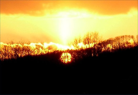 Quinnipiac University by null