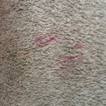 Diamond Superior Cleaning - Carpet Cleaning Near Me - Las Vegas, Nevada