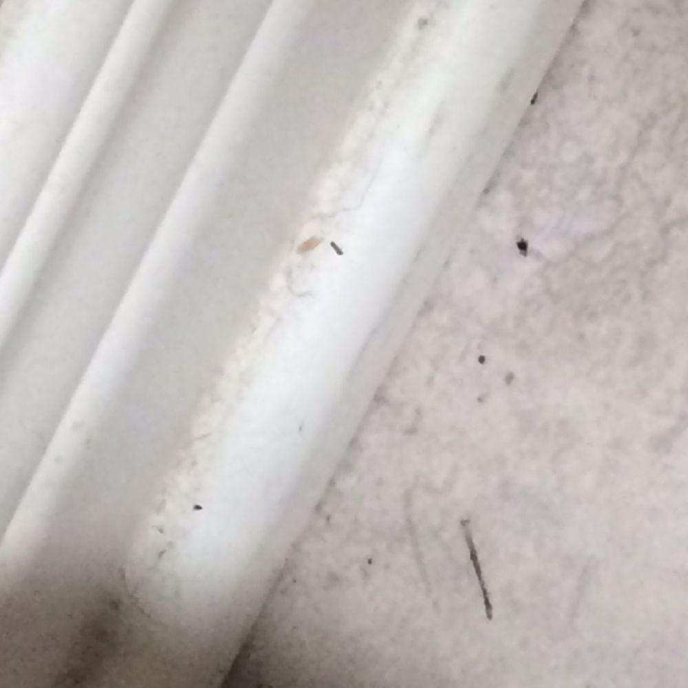 Stanley Steemer - Dirty tile post cleaning. - Carpet Cleaning Near Me - Azusa, California Stanley Steemer - Dirty tile post cleaning. - Carpet Cleaning Near Me - Azusa, California