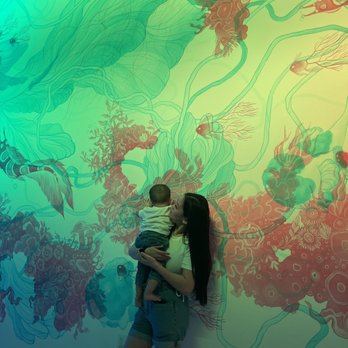 Seismique - It changes color so it's cool. - Arts & Entertainment Near Me - Houston, Texas Seismique - It changes color so it's cool. - Arts & Entertainment Near Me - Houston, Texas