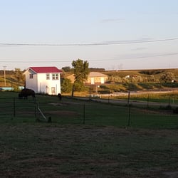 Frontier Fort RV Park - Bison family, and horse nearby.