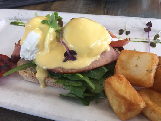 Cafe Dbar, Coolangatta by null