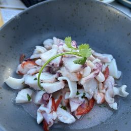 Seafood salad special app Seafood salad special app