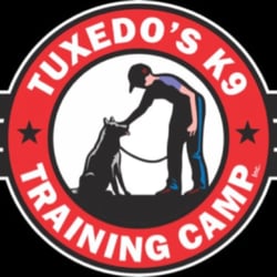 Tuxedo's K9 Training Camp - Tuxedo's K9 Training Camp is hiring Part-Time Day Care Attendants. Apply at www.tuxedosk9.com/careers