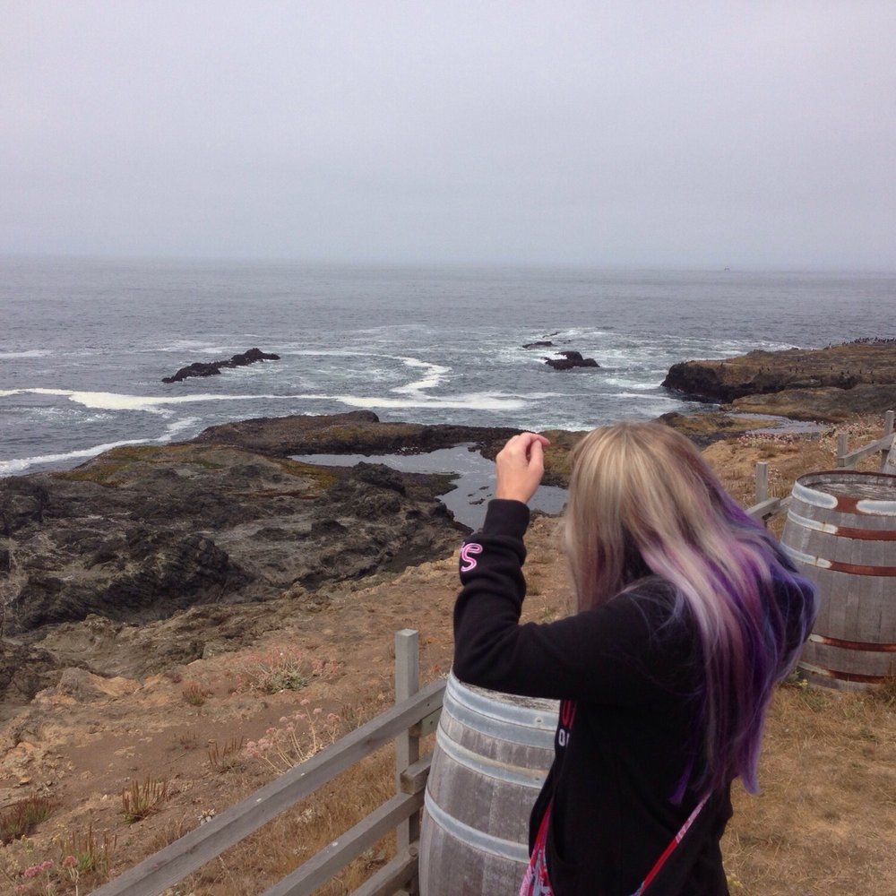 Pacific Star Winery - The view outside the winery - Wineries Near Me - Fort Bragg, California Pacific Star Winery - The view outside the winery - Wineries Near Me - Fort Bragg, California