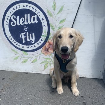 Stella & Fly - Coffee & Tea Near Me - New York, New York Stella & Fly - Coffee & Tea Near Me - New York, New York